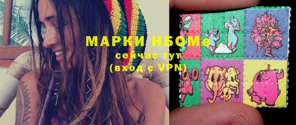 стафф Верхний Тагил